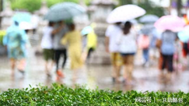雨季提前来这些准备不做要吃亏2025江浙沪入梅偏早！梅