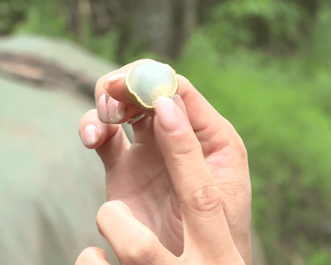 ！他们用手机“丰收”204亿元！刷屏了！丰都田里的“新农人”火了(图2)