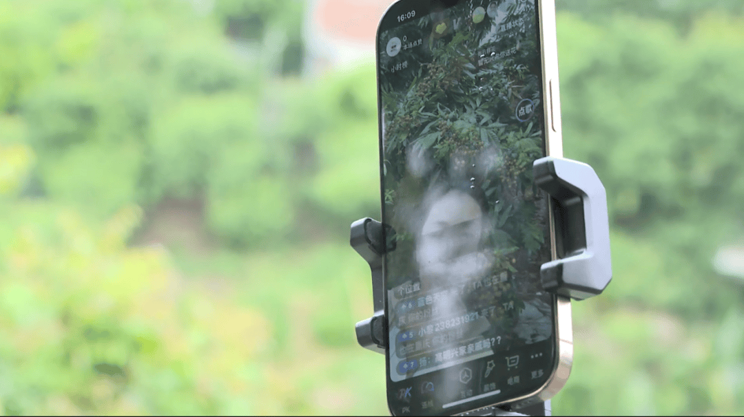 ！他们用手机“丰收”204亿元！刷屏了！丰都田里的“新农人”火了(图4)